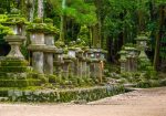 Circuit Japonia & Coreea de Sud: – O călătorie de suflet