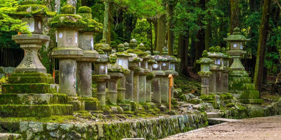 Circuit Japonia & Coreea de Sud: – O călătorie de suflet