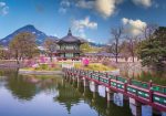 Circuit Japonia & Coreea de Sud: – O călătorie de suflet