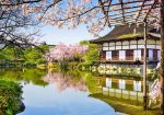 Circuit Japonia & Coreea de Sud: – O călătorie de suflet